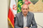 تولید ۸۰۰ هزار تن گندم در آذربایجان شرقی طی سالجاری