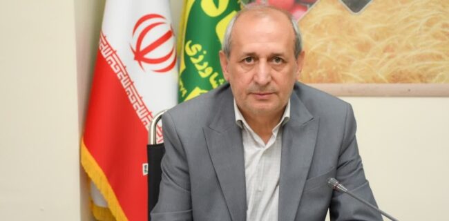 تولید ۸۰۰ هزار تن گندم در آذربایجان شرقی طی سالجاری