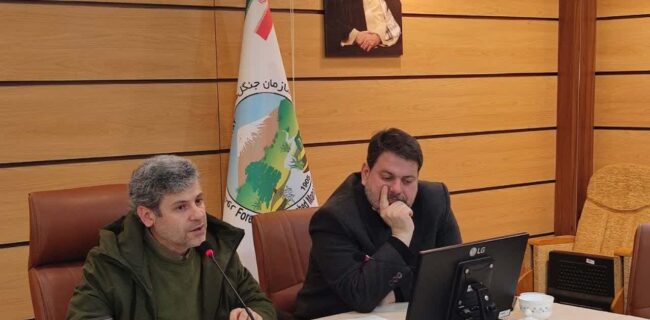 همکاری سازمان منابع طبیعی و صدا و سیما برای پوشش باشکوه هفته منابع طبیعی